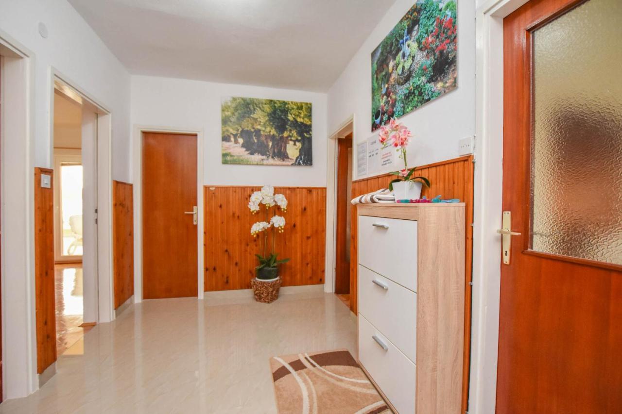 Apartments Dandelion Biograd Na Moru Zewnętrze zdjęcie